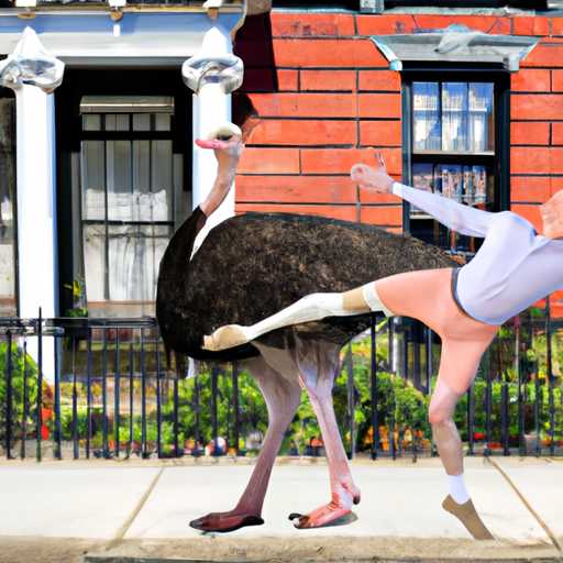 Bob and Olga's Tale of the Dancing Ostrich